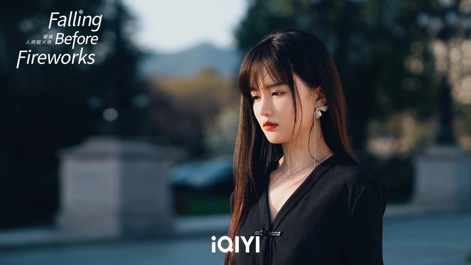 ดอกไม้ไฟแห่งรัก