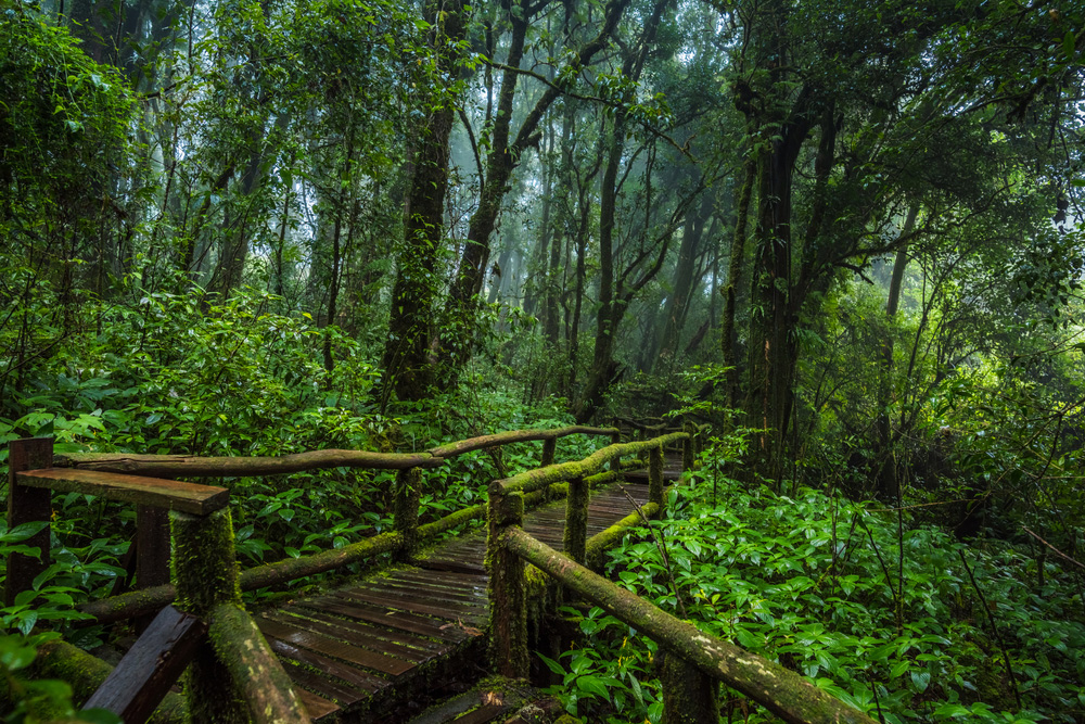 ที่เที่ยวเชียงใหม่