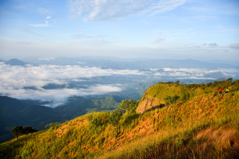 เที่ยวดอยหน้าหนาว