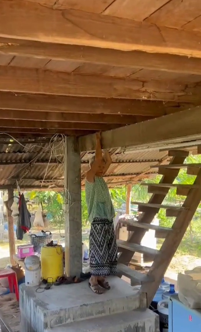 งูเข้าบ้าน