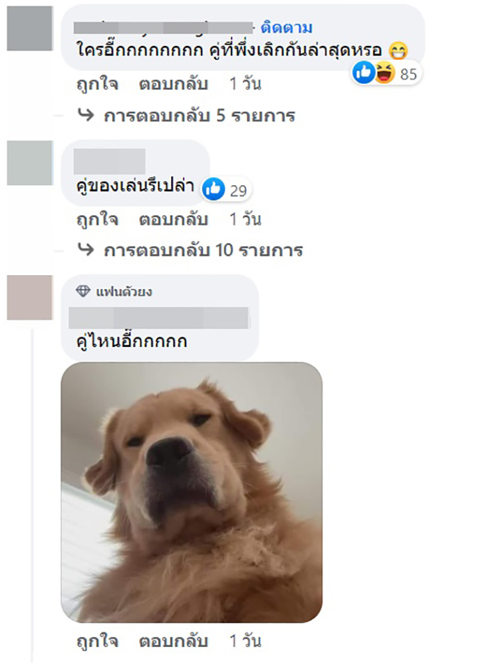 คอมเมนต์
