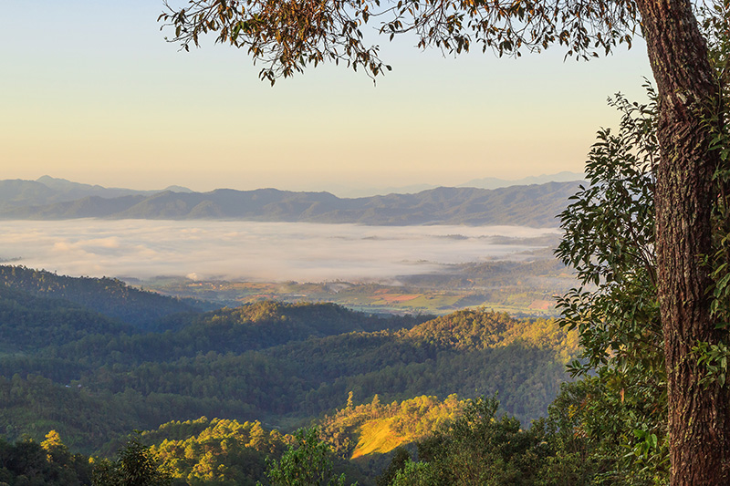 อำเภอเวียงแหง