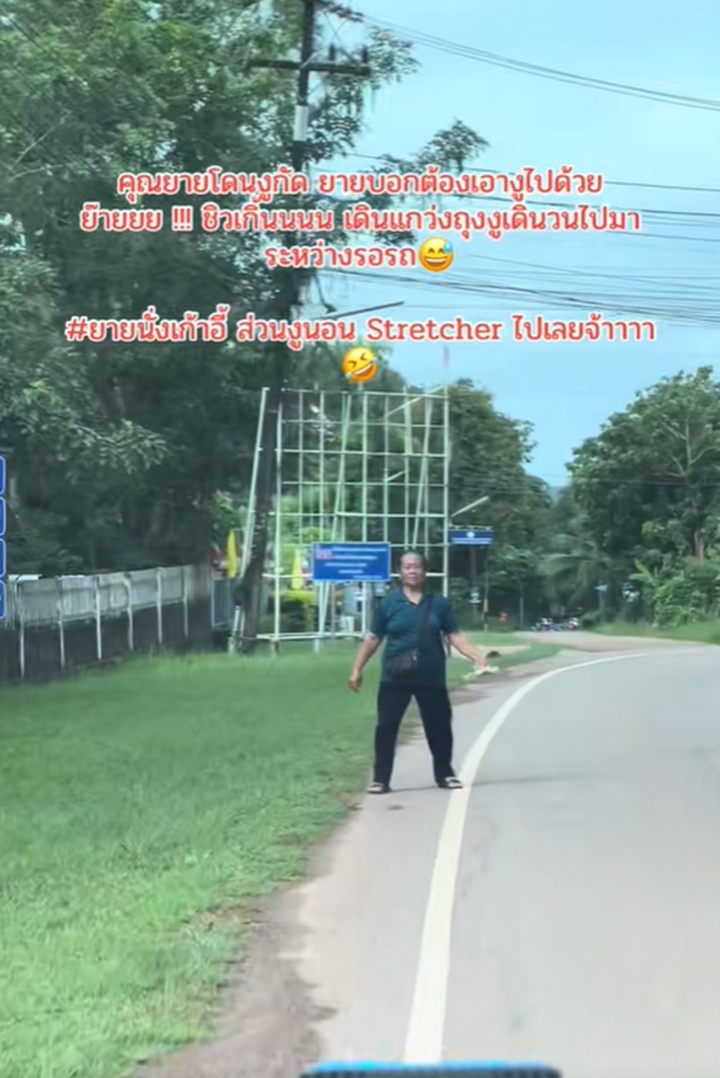 โดนงูกัด