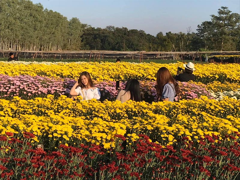 สวนดอกไม้พ่อหลวงชัชร์ เชียงใหม่