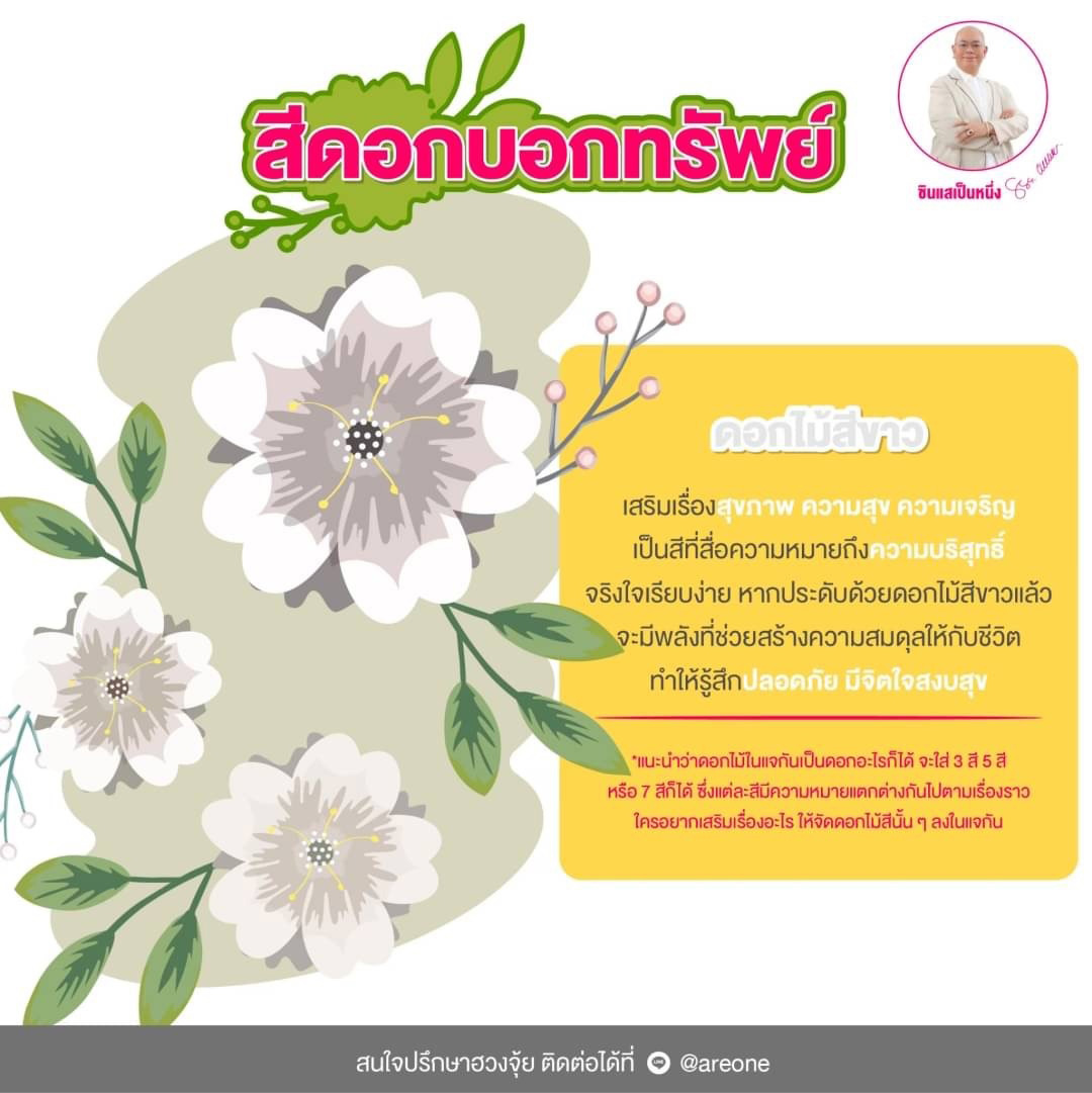 ดอกไม้สีขาว
