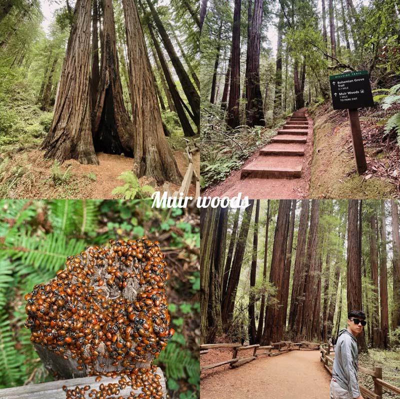 ซานฟรานซิสโก