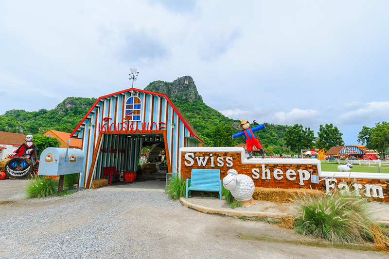 ที่เที่ยวเพชรบุรี Swiss Sheep Farm (Zucata Sheep Farm)