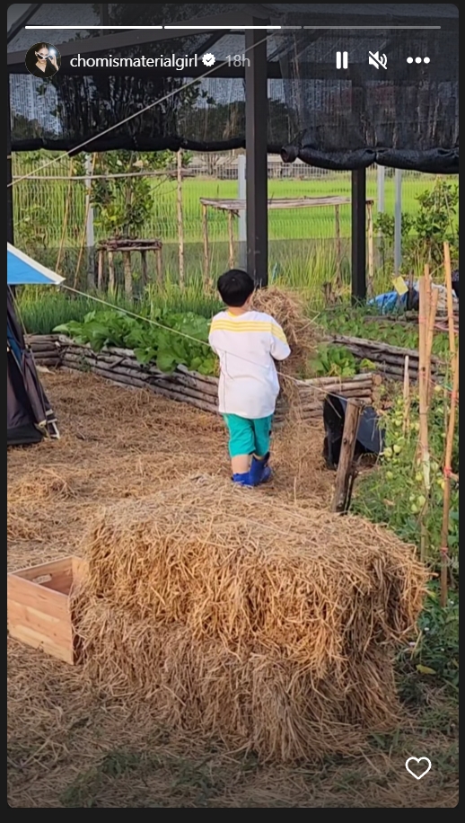 น้องพายุ