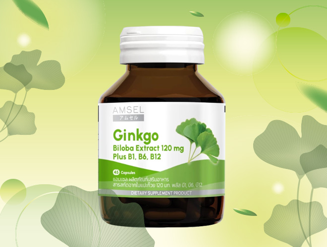 Amsel Ginkgo Bioba Extract 120 mg