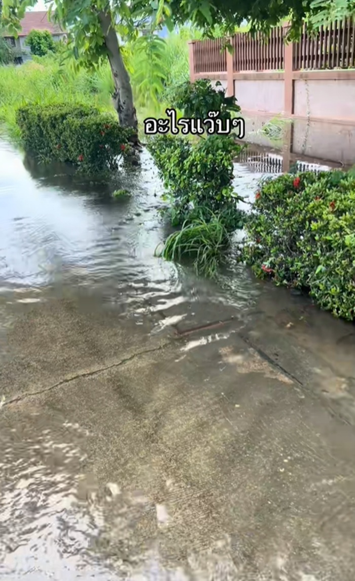 น้ำท่วม