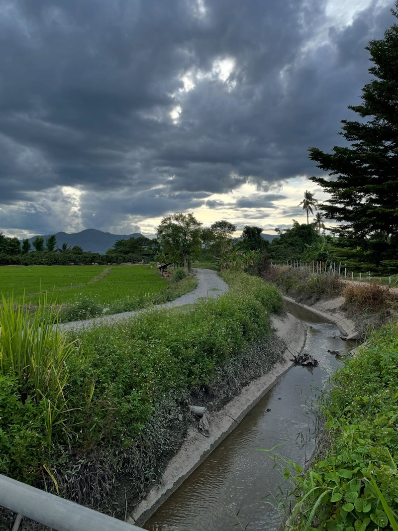 ซาร่า โฮเลอร์ ประกาศขายที่ดินเชียงใหม่