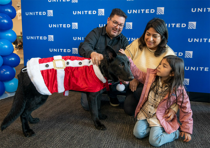 ลูกหมา โดนทิ้งที่สนามบิน ชีวิตพลิก