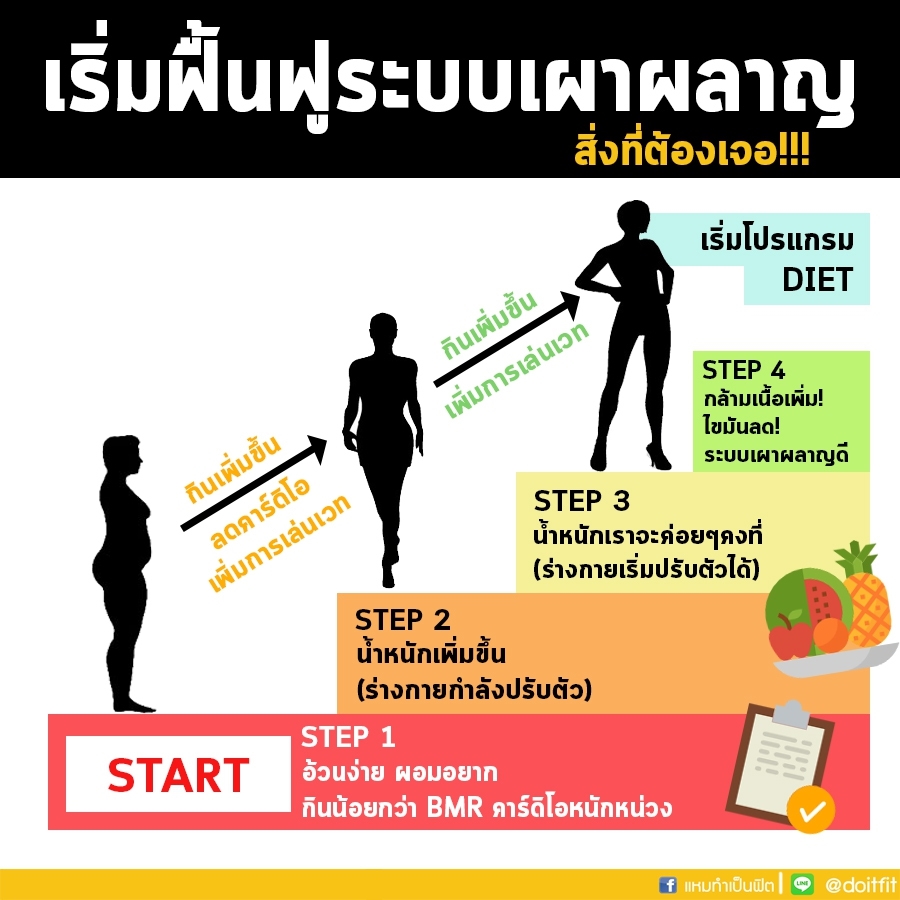วิธีลดน้ําหนัก