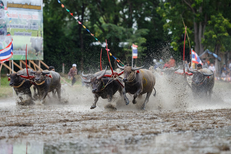 เที่ยวเดือนตุลาคม 66