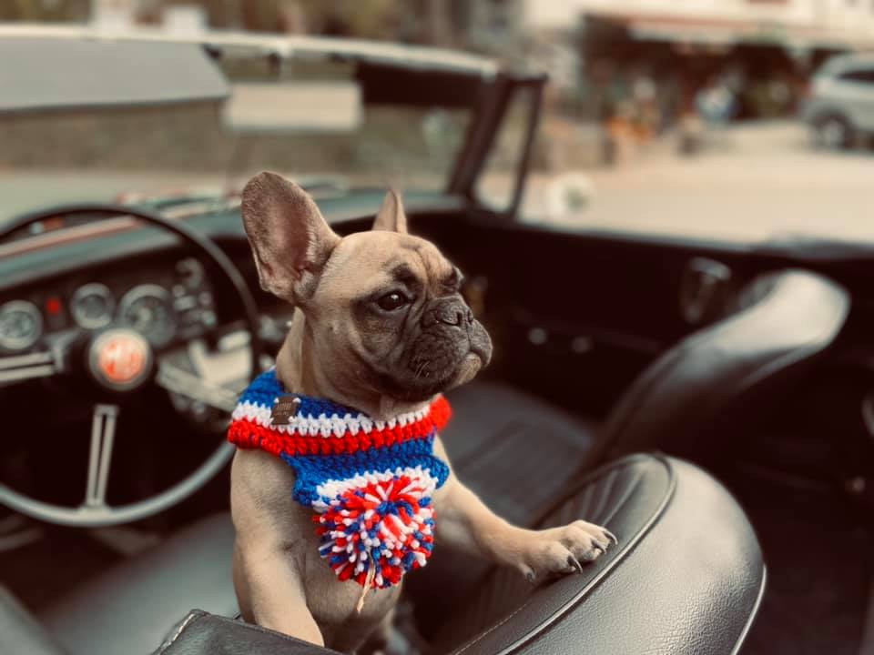 Wilbur