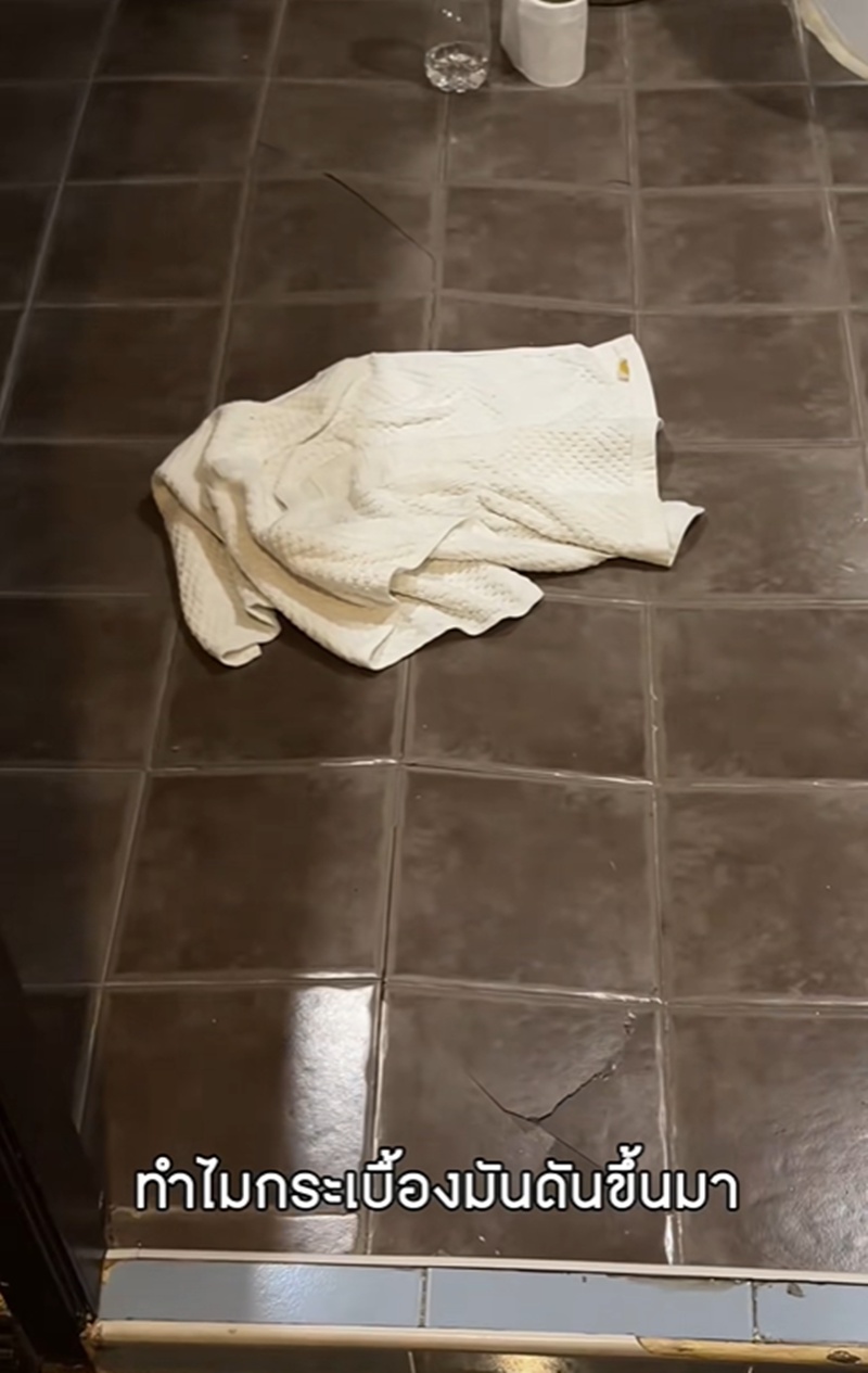 เจนิส เจณิสตา