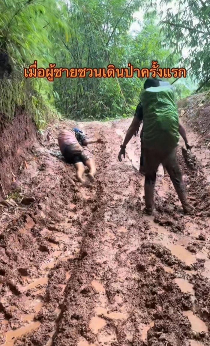 เดินป่า