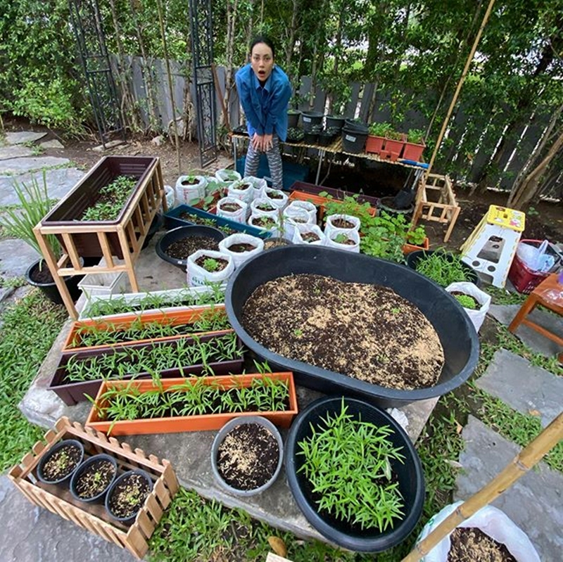 สวนผัก ตั๊ก บงกช 