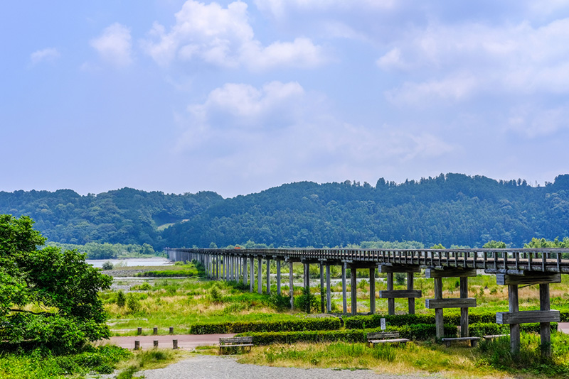 สะพานไม้ Horai Bridge ที่เที่ยวชิซูโอกะ