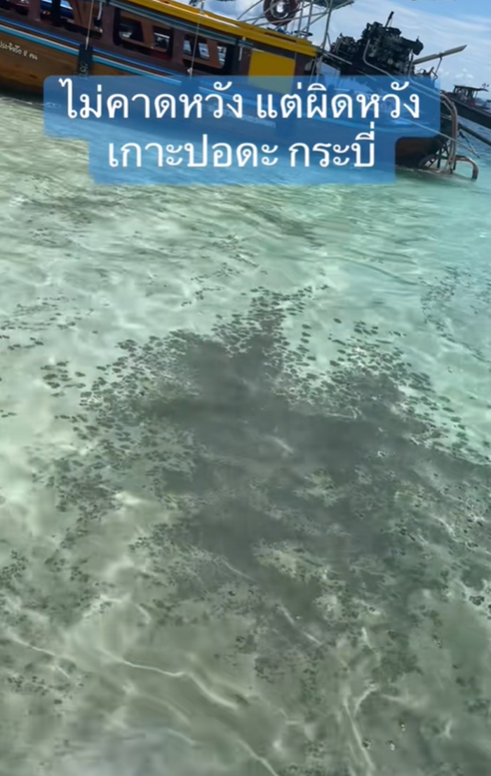 เกาะปอดะ