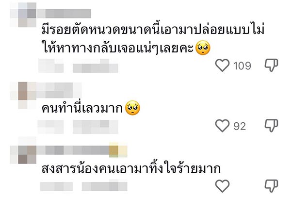 ช่วยแมวถูกทิ้ง