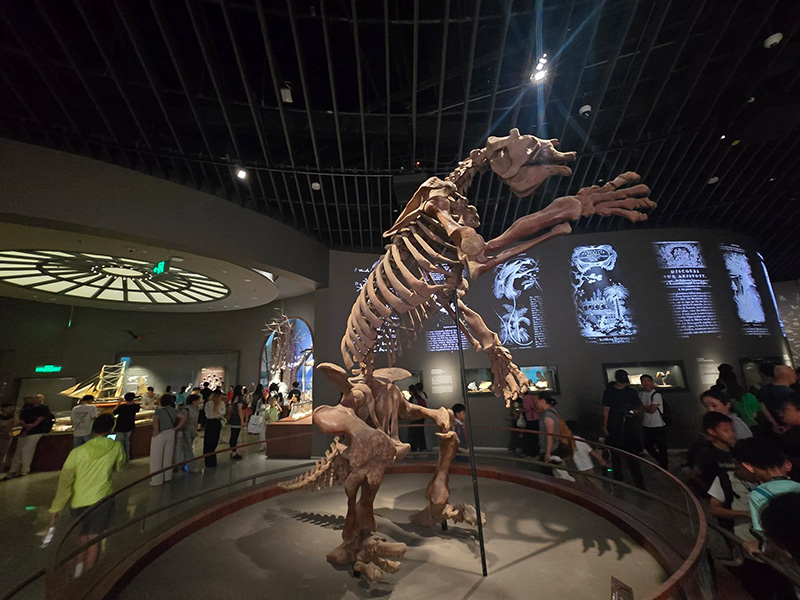 Natural History Museum Shenzhen ที่เที่ยวเซินเจิ้น