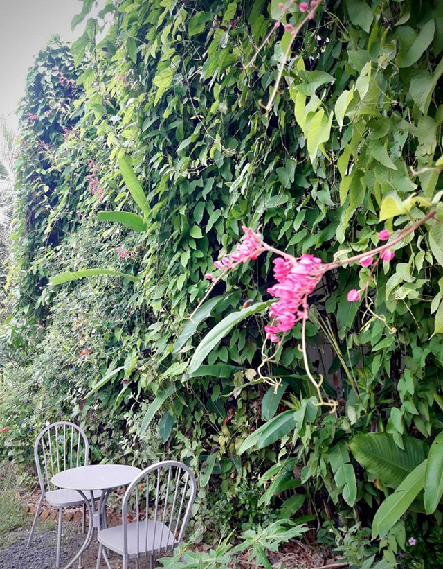 คาเฟ่อำนาจเจริญ 