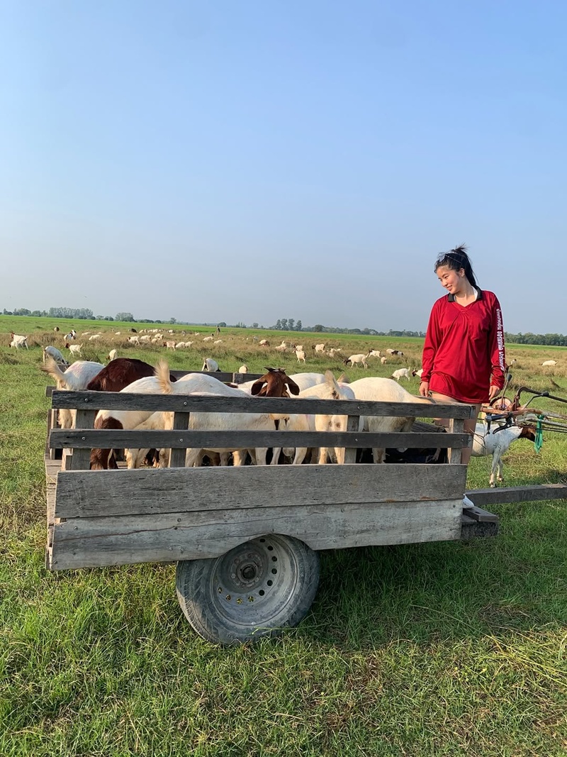 ก้อย อรัชพร