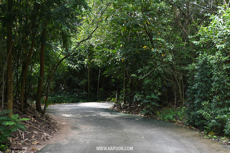 ป่าวังจันทร์