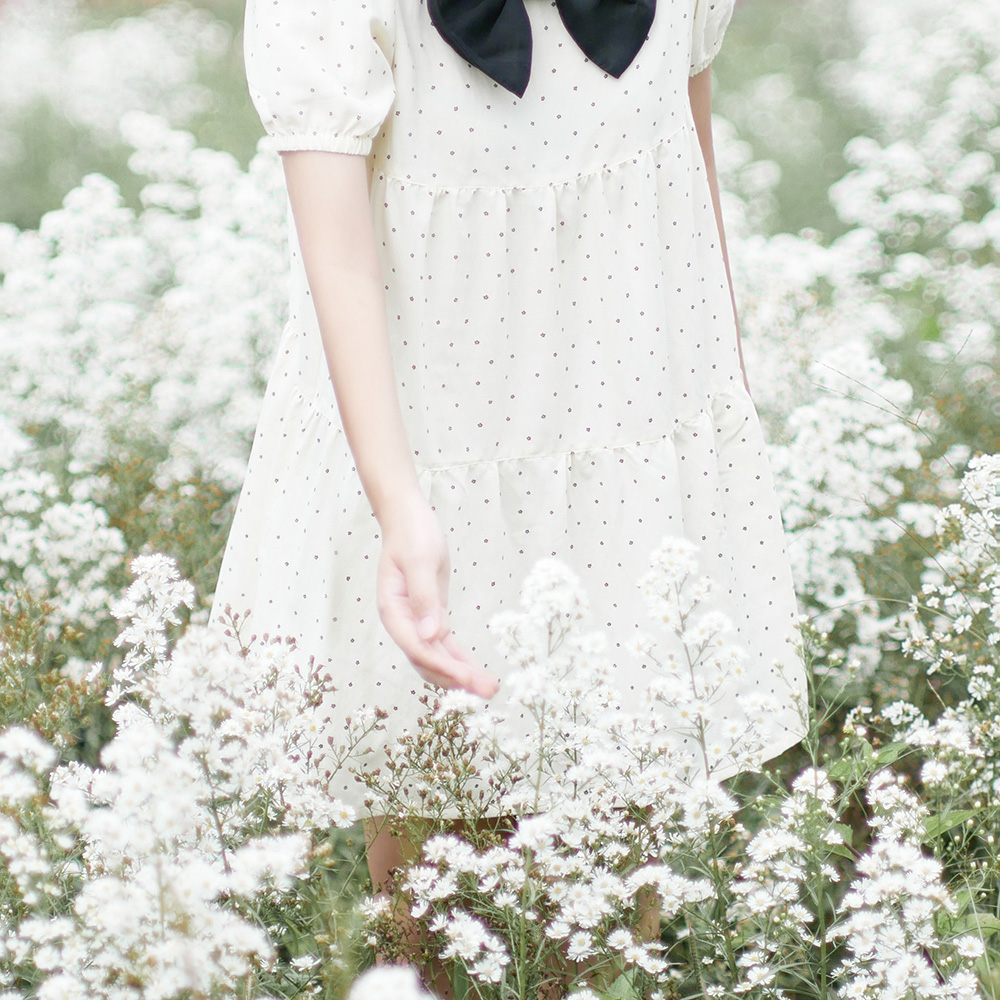 สวนดอกไม้ เขาค้อ