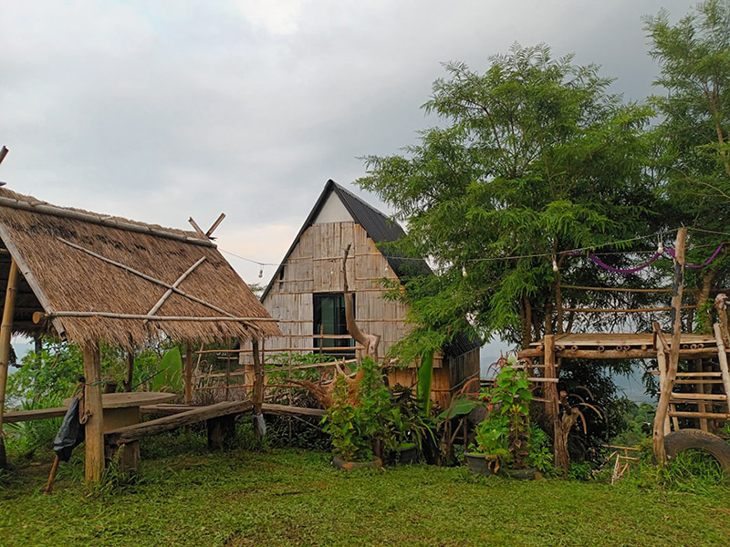 ดอยแม่มอญ เชียงราย