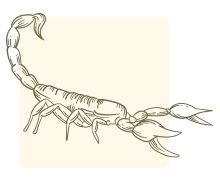 สีเล็บเสริมดวง