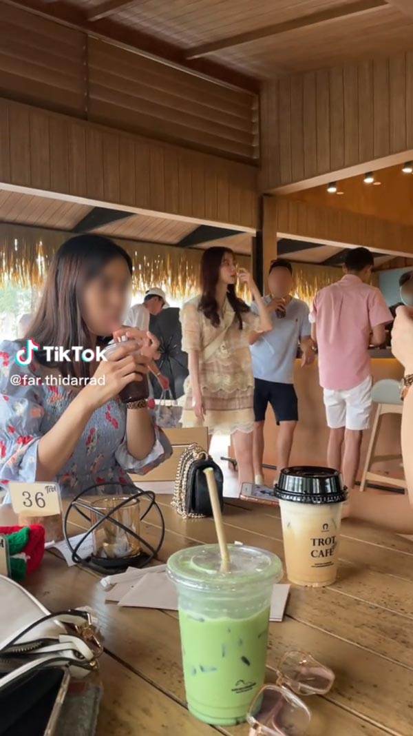 นาย ใบเฟิร์น