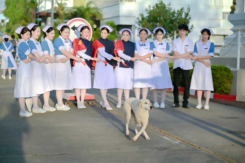 นักศึกษาแพทย์