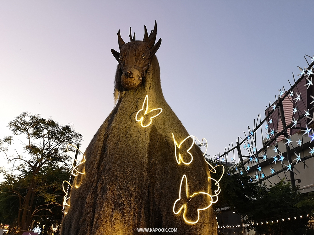 ดูไฟคริสต์มาส