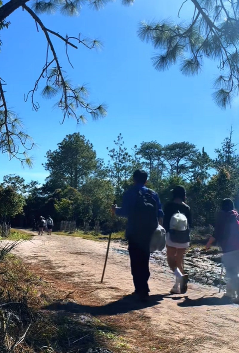 เดินป่า