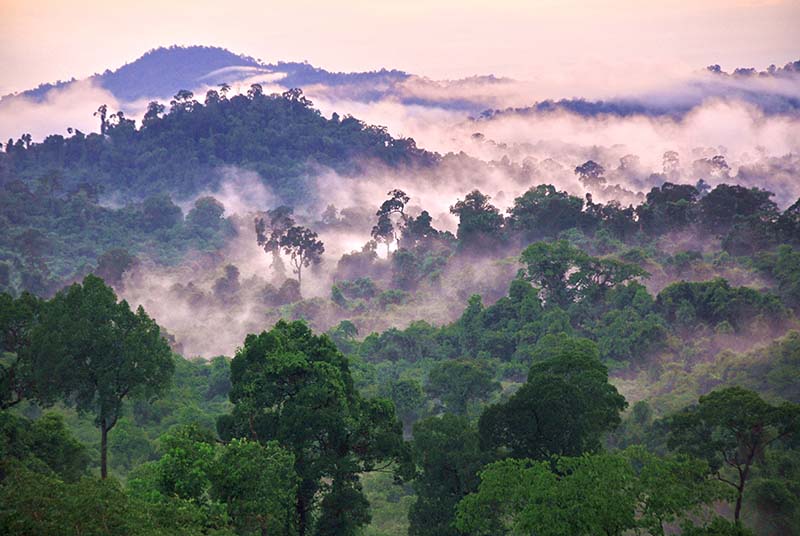 อุทยานแห่งชาติปางสีดา