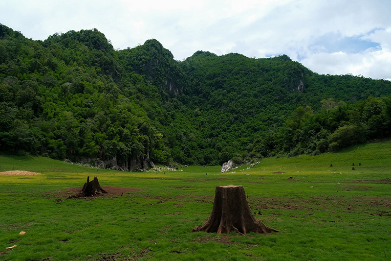 หุบเขาคลอรี่ ทองผาภูมิ