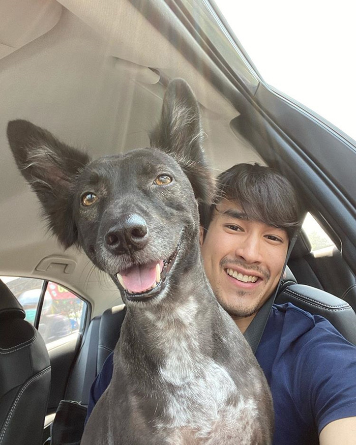 ณเดชน์ คูกิมิยะ สุนัข