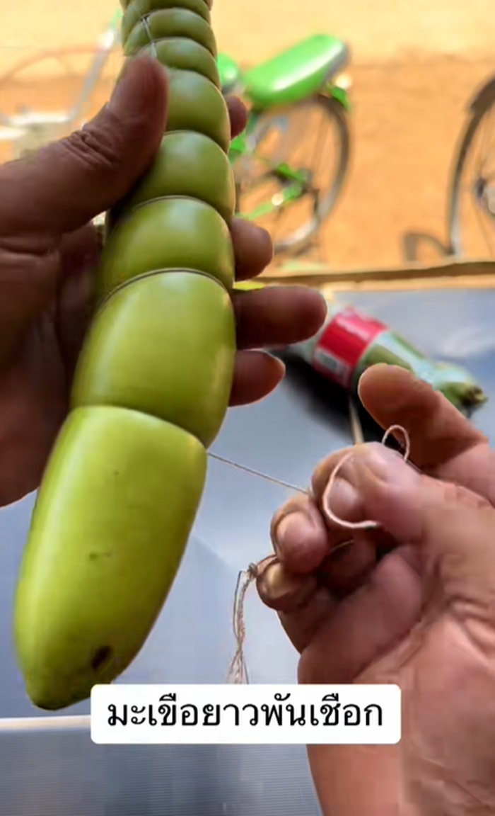 มะเขือยาว