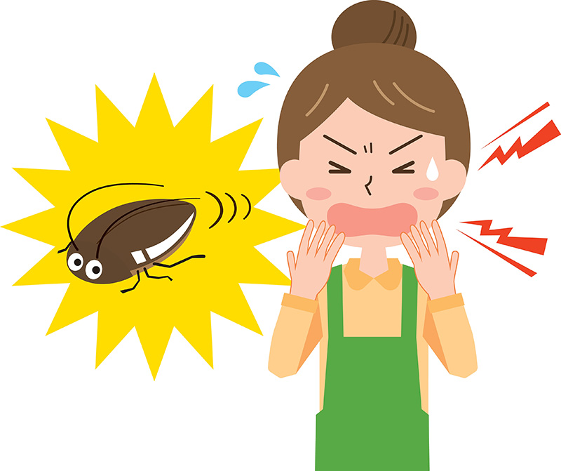 ทำไมแมลงสาบบินเข้าหาคน