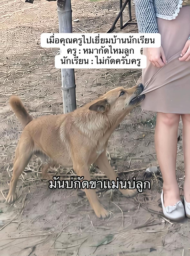 เยี่ยมบ้านนักเรียน