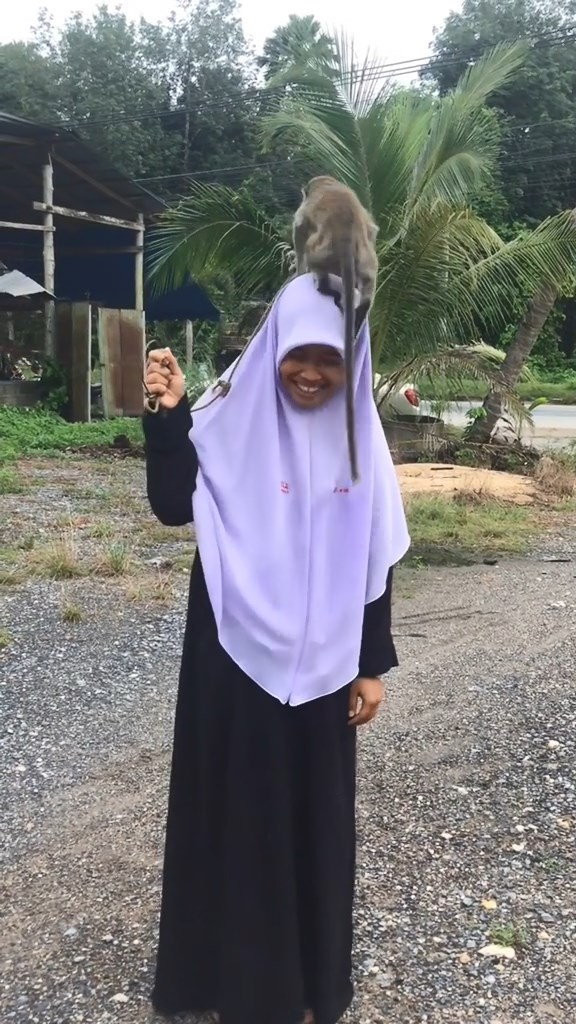 พรีเซ็นต์งาน