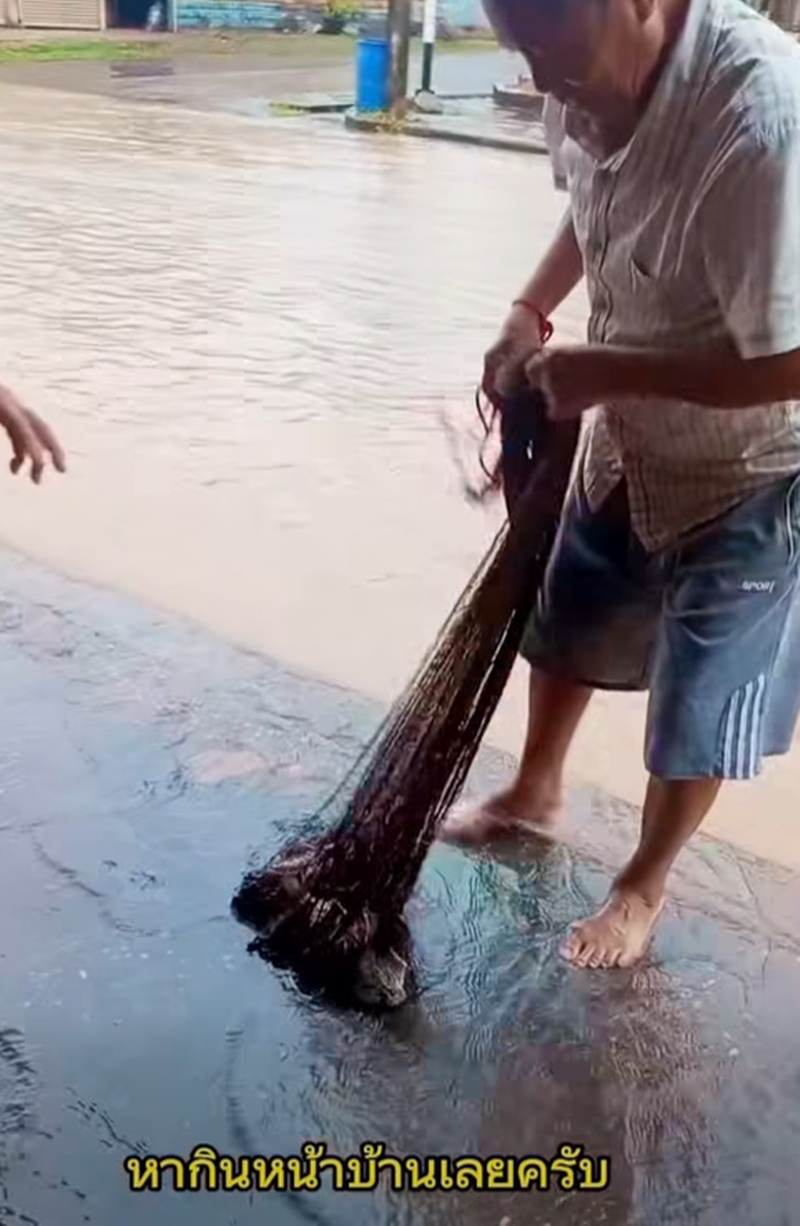 น้ำท่วม