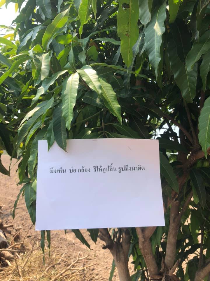 ป้ายเตือนขโมย