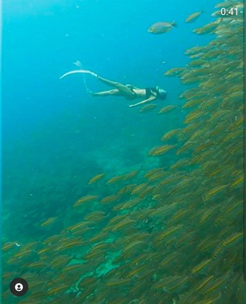 นท เดอะสตาร์