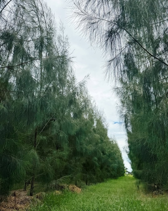 โป๊ป ธนวรรธน์ พาเที่ยวสวน เพ็ชร ฐกฤต