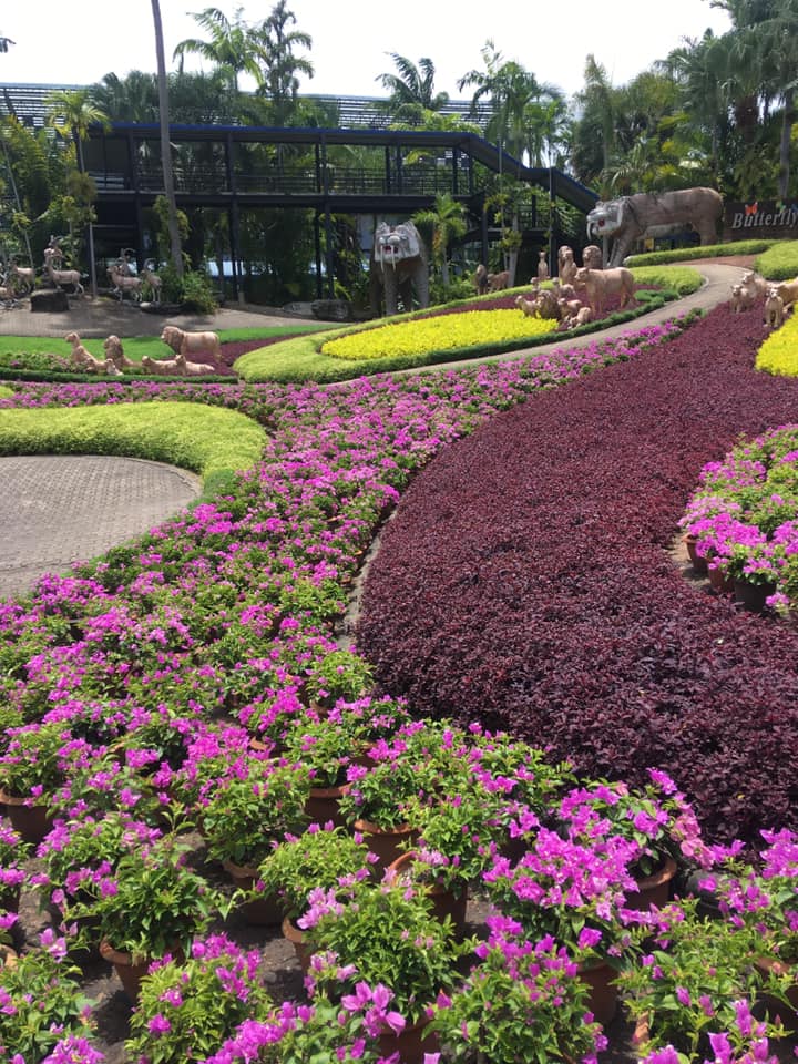 สวนนงนุช