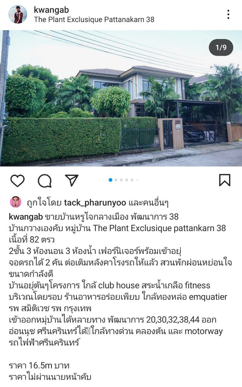 กวาง AB Normal 