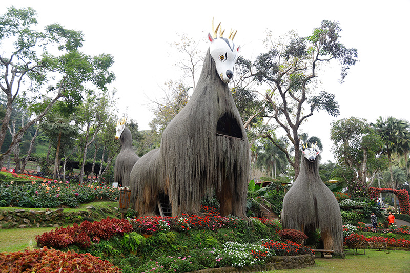 ดอกไม้ เทศกาลสีสันแห่งดอยตุง ครั้งที่ 10